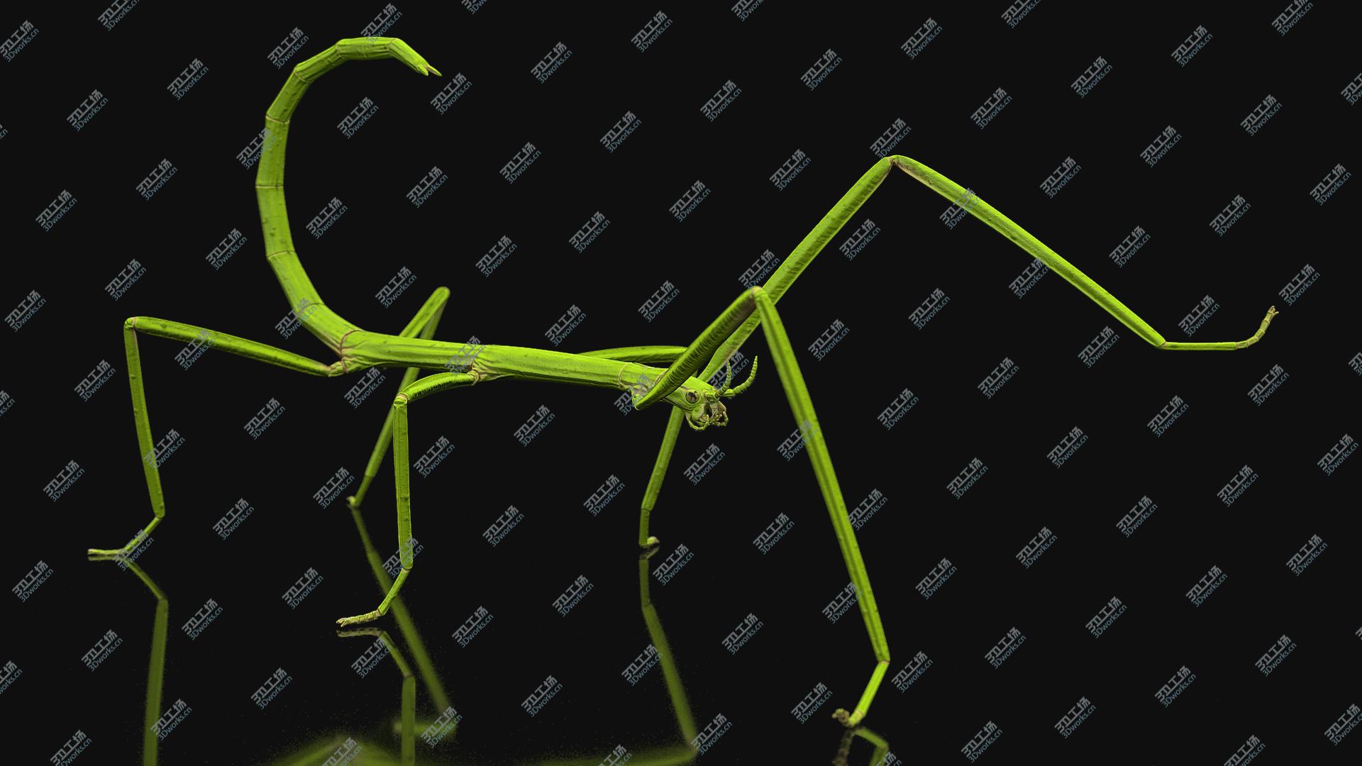 images/goods_img/202105071/Stick Insect Green Rigged 3D model/2.jpg